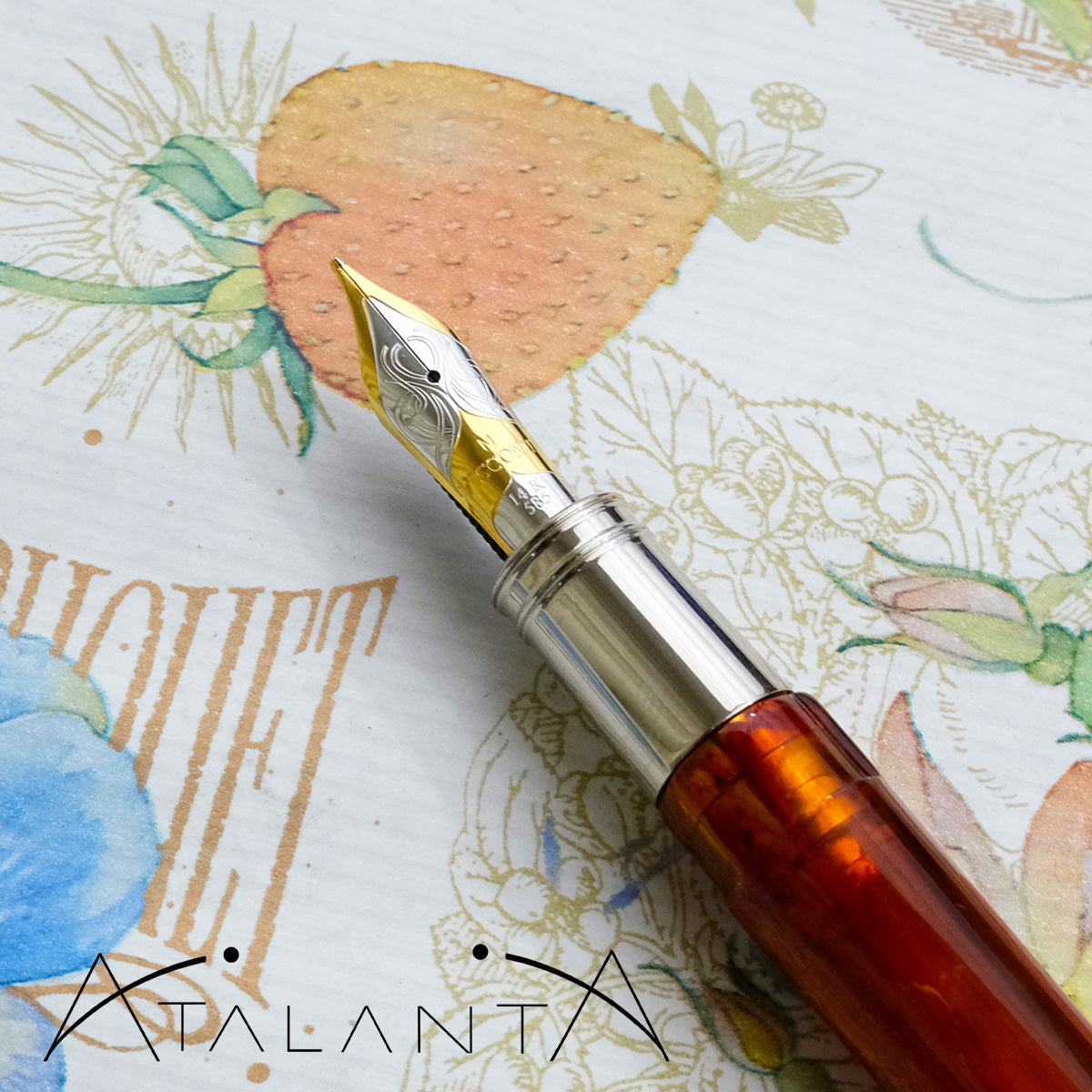 Visconti Vincent Van Gogh