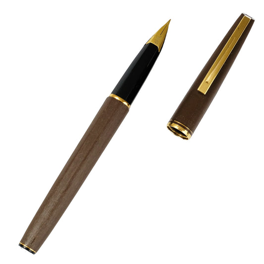 Waterman Concorde.