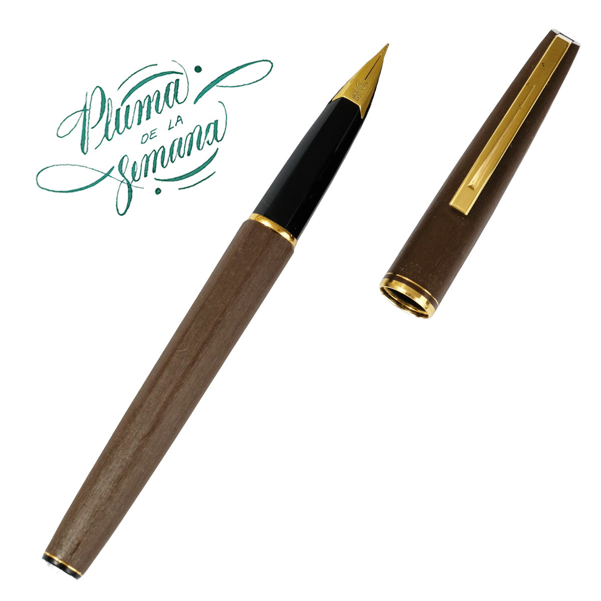 Waterman Concorde.
