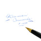 Waterman Concorde.