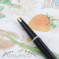 Waterman C/F