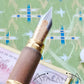 Waterman Le Man 100