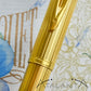 Waterman Gentleman Godron