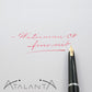 Waterman C/F